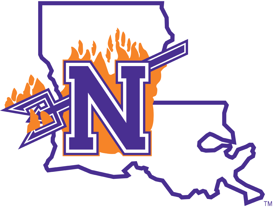 Northwestern State Demons 2008-2013 Primary Logo iron on transfers for fabric